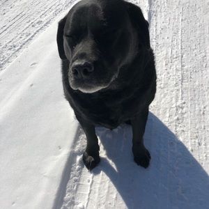 Meet your Posher, Jen